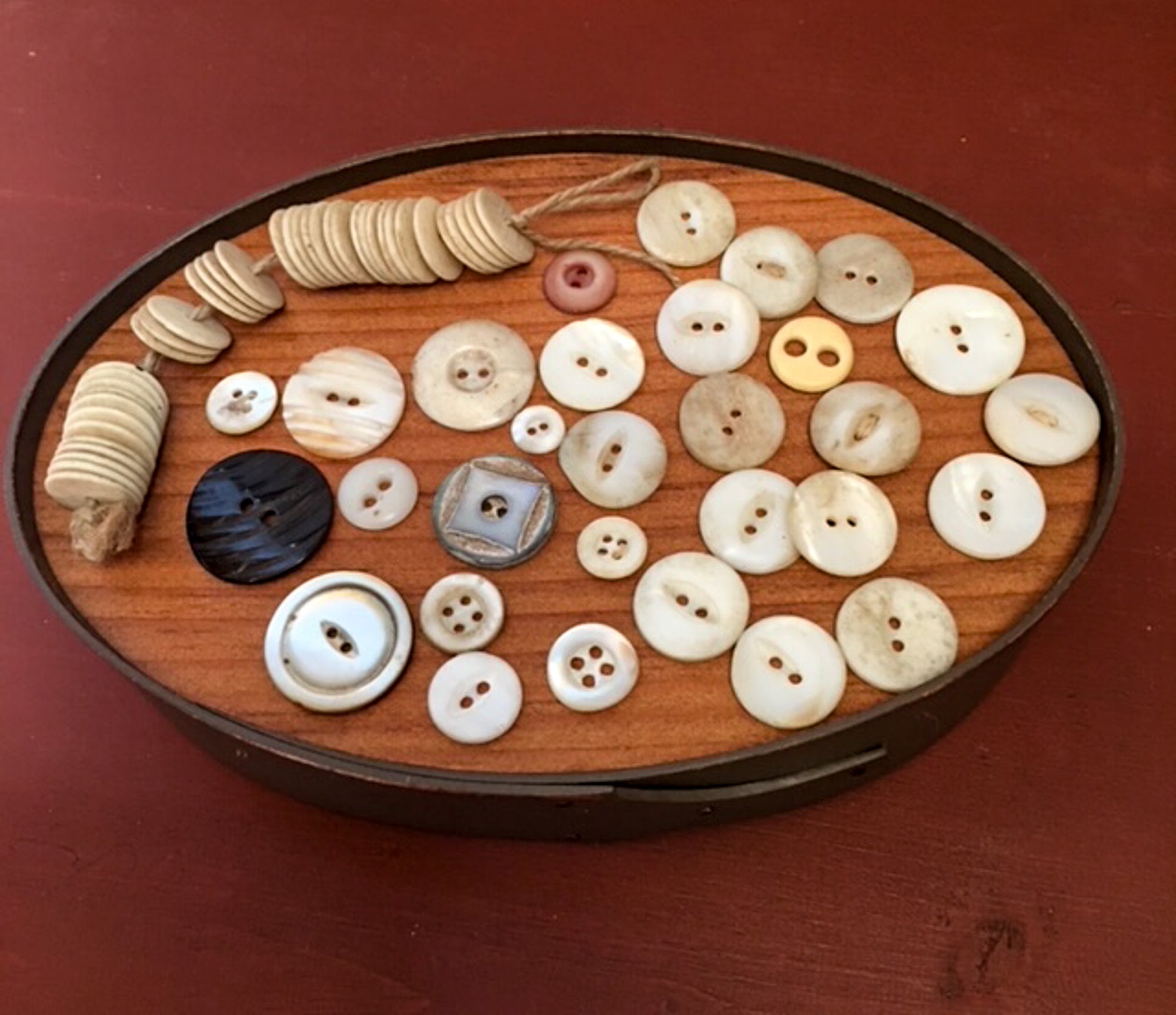 Button Bundle, Bone and Shell