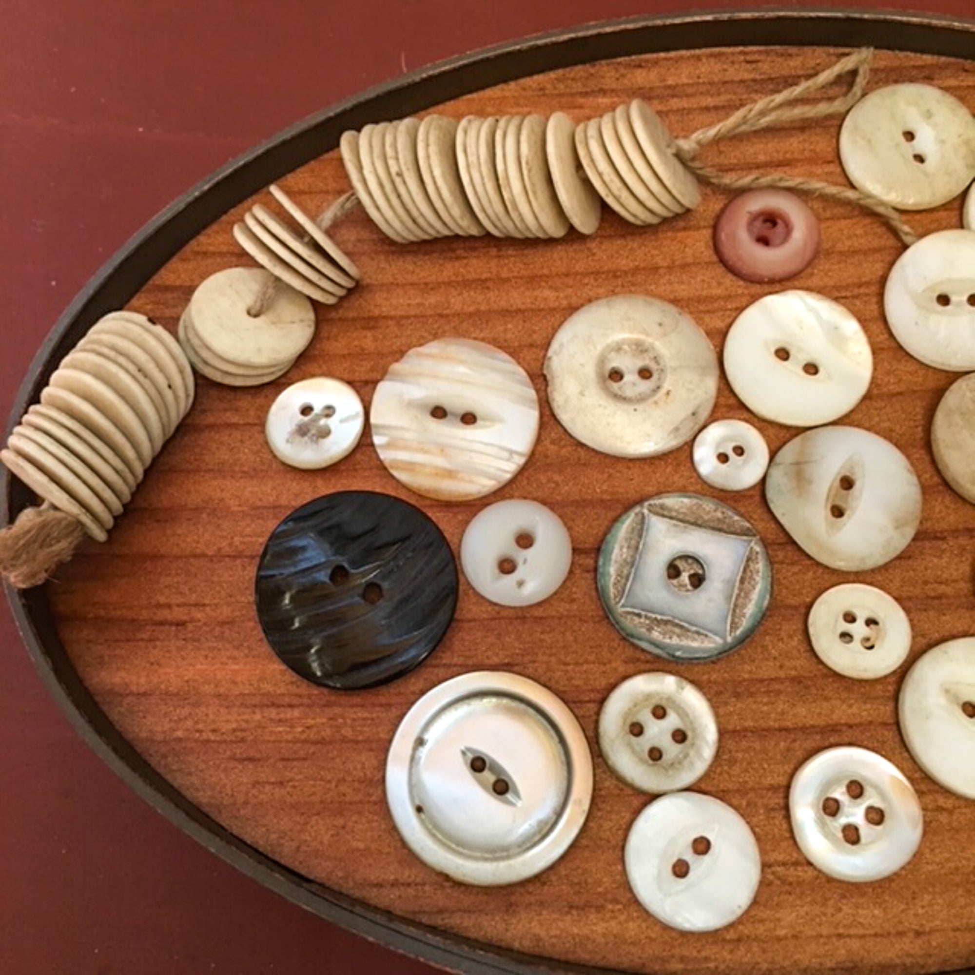 Button Bundle, Bone and Shell