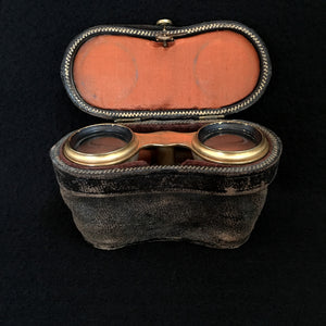Antique Colmont Paris Mother of Pearl Opera Glasses – Late 19th/Early 20th Century
