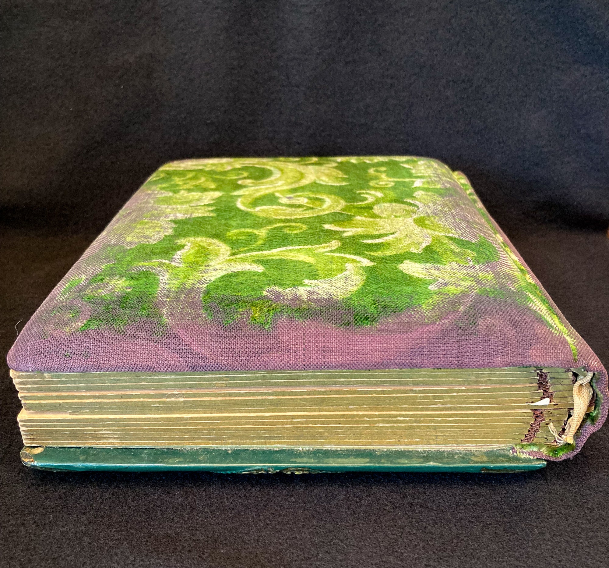 1890’s – 1910’s Celluloid and Velvet Photo Album with Photos