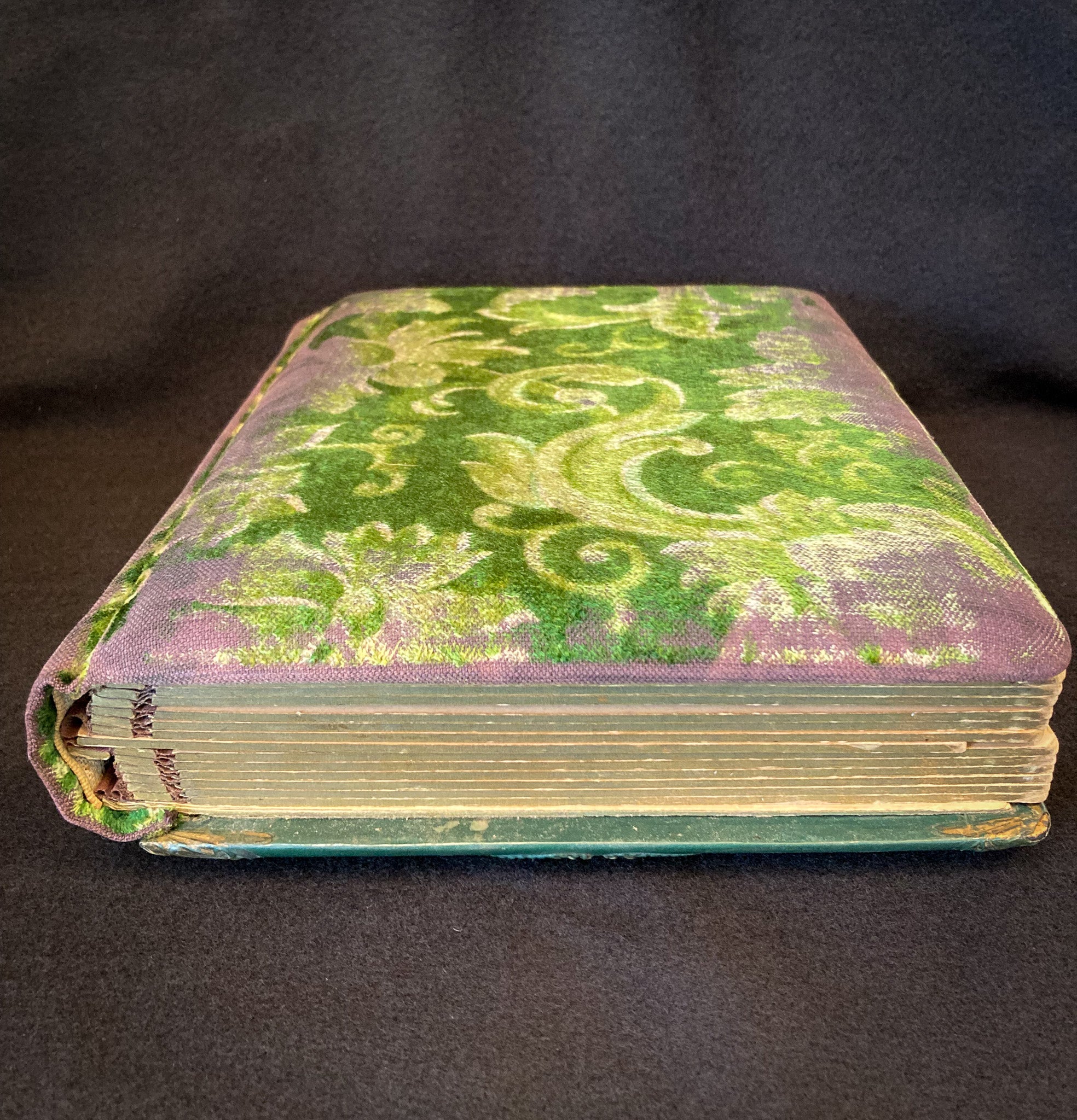 1890’s – 1910’s Celluloid and Velvet Photo Album with Photos