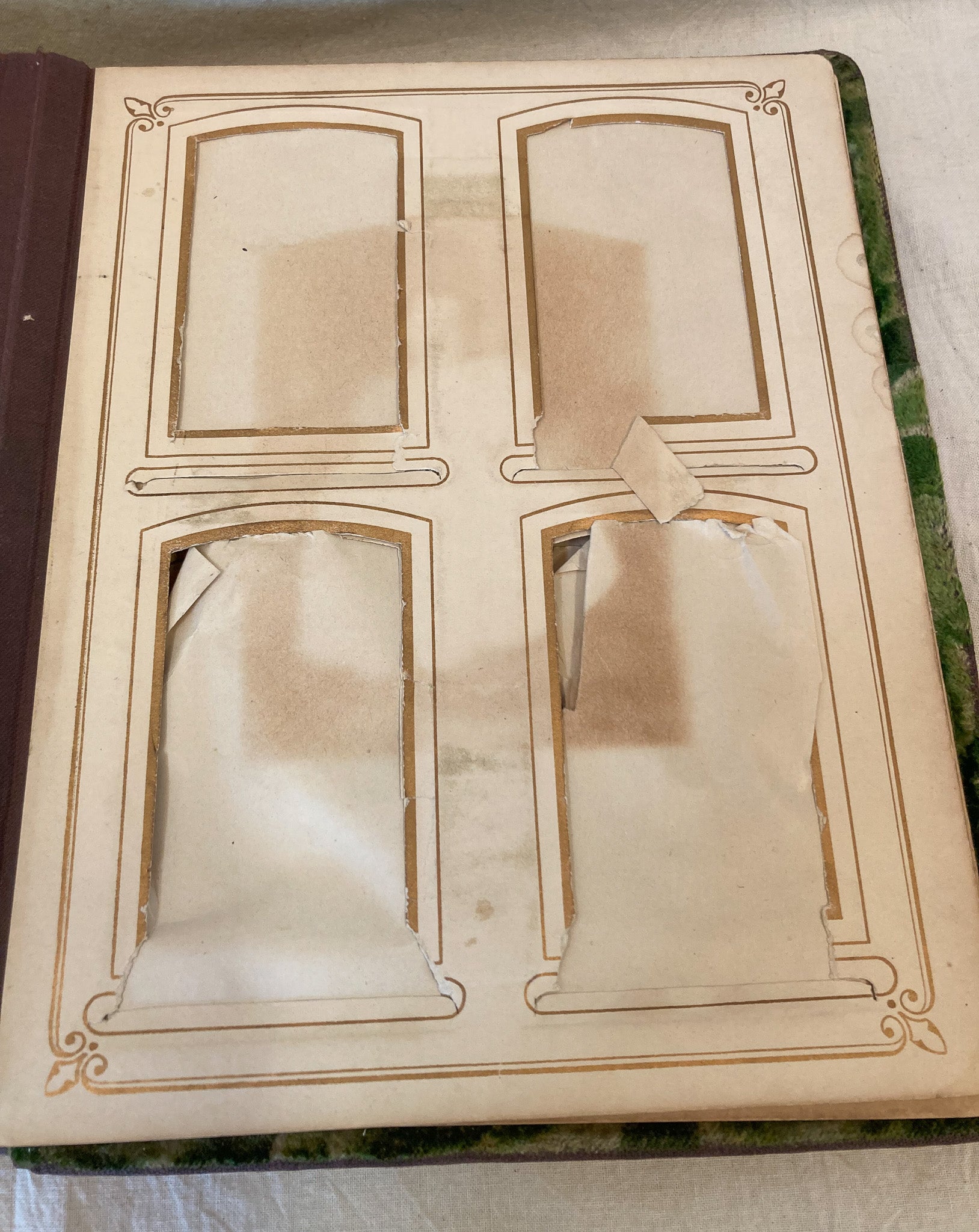 1890’s – 1910’s Celluloid and Velvet Photo Album with Photos