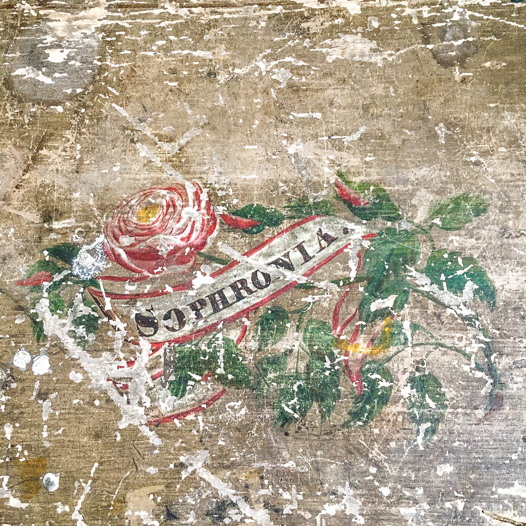 1800s Hand-Painted Wooden Keepsake Box – Dovetailed with Inscription "Sophronia"