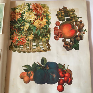 Scrapbook Album, Victorian Era, 69 Pages of Lithograph Trade Cards, Calling Cards, Advertising Cards, Sewing, Quack Medicine, Trains, New England