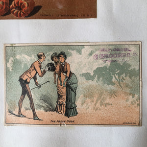 Scrapbook Album, Victorian Era, 69 Pages of Lithograph Trade Cards, Calling Cards, Advertising Cards, Sewing, Quack Medicine, Trains, New England