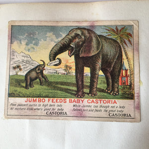 Scrapbook Album, Victorian Era, 69 Pages of Lithograph Trade Cards, Calling Cards, Advertising Cards, Sewing, Quack Medicine, Trains, New England