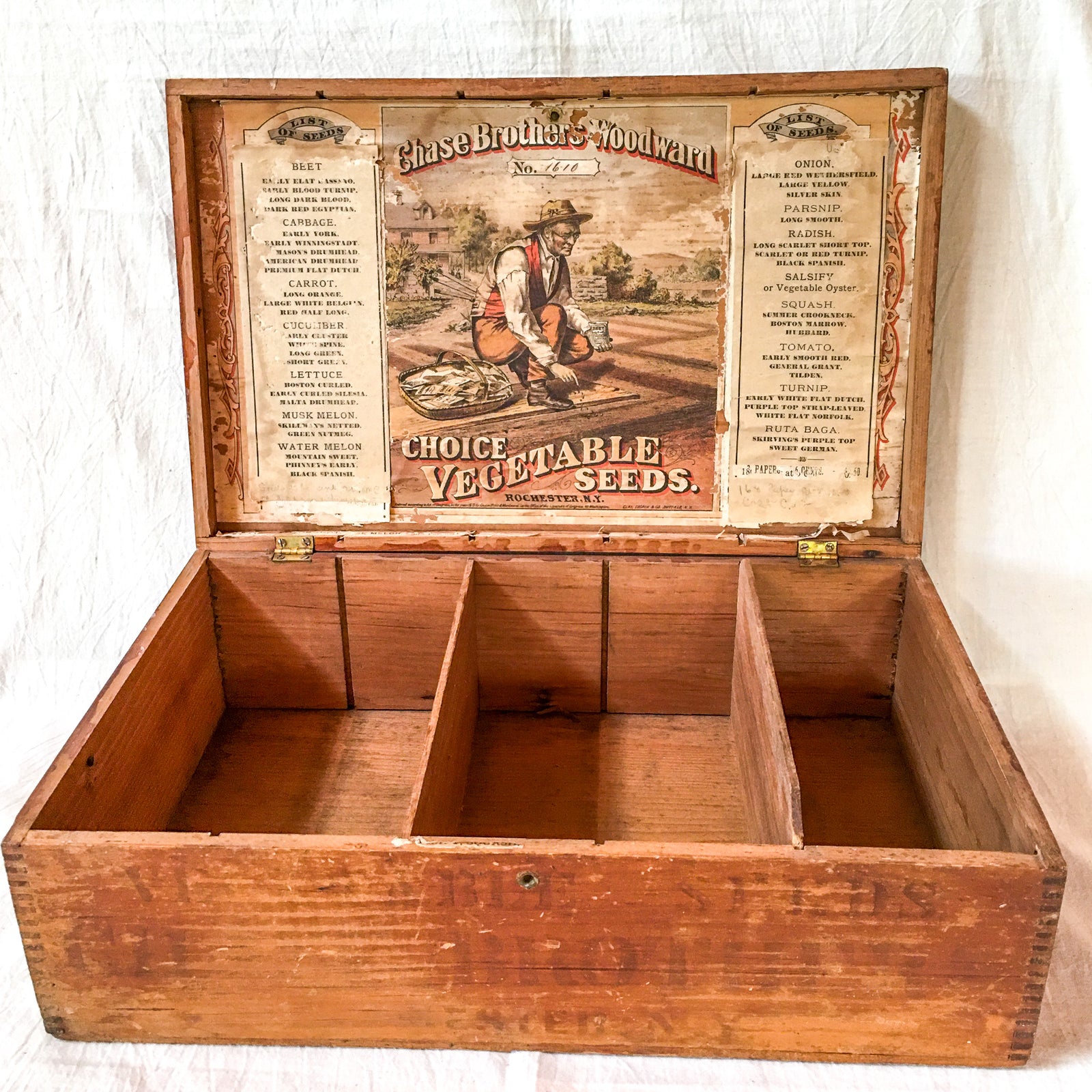 Antique 1873 Seed Box – Chase Brothers Woodward Vegetable Seeds Display, Finger Jointed Wood, Rochester NY
