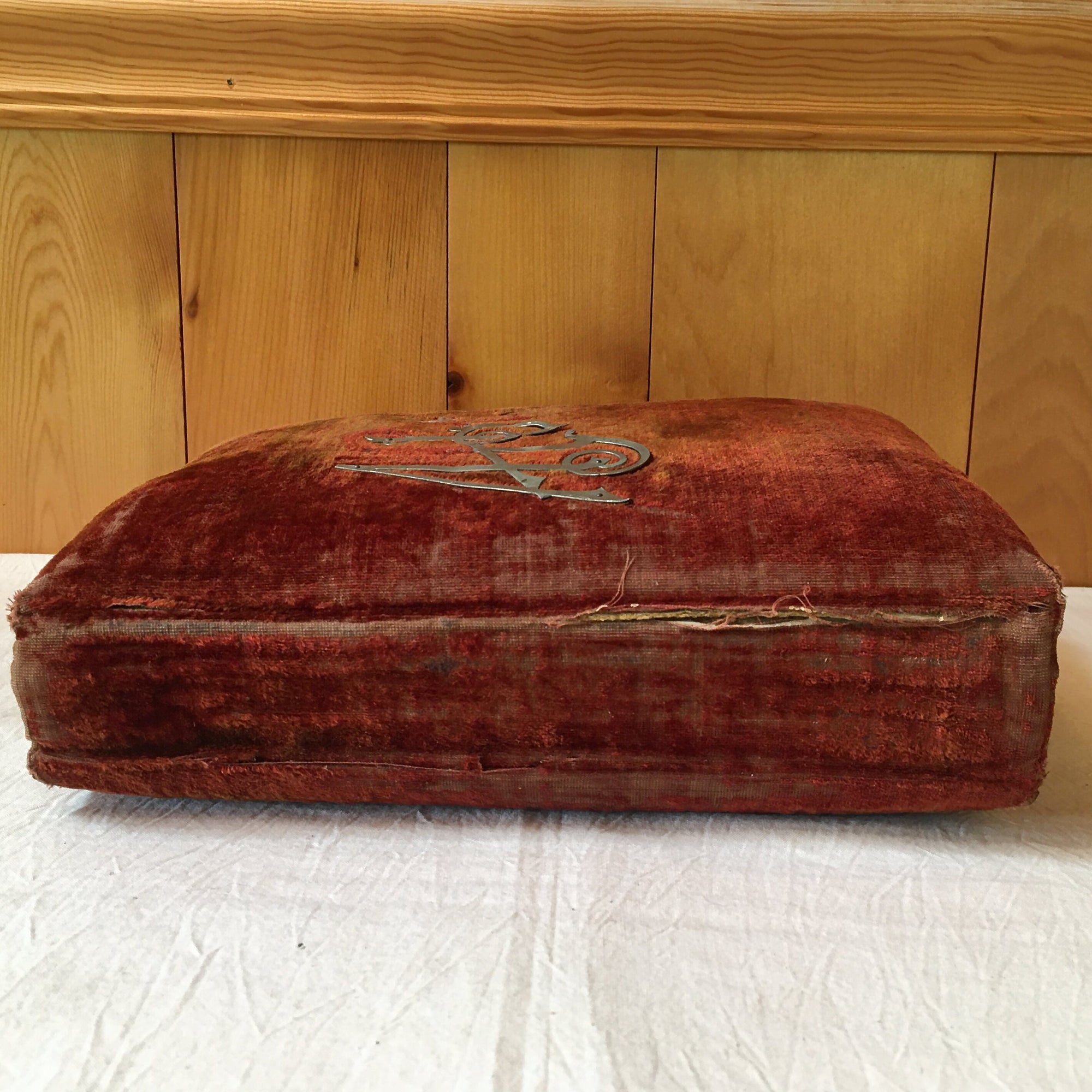 Victorian Velvet Photo Album with Cabinet Cards – Baby, Twin, Cat Photos & 1896 Obituary – Maine Provenance