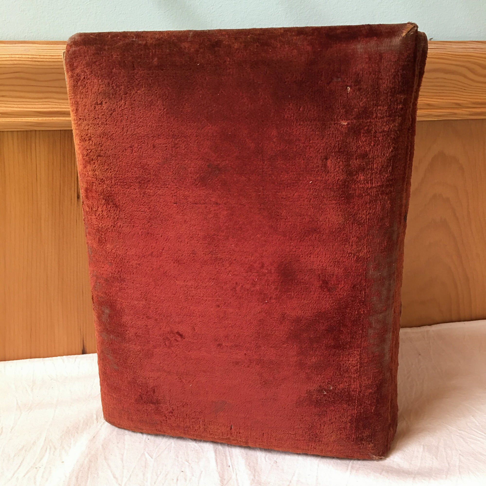 Victorian Velvet Photo Album with Cabinet Cards – Baby, Twin, Cat Photos & 1896 Obituary – Maine Provenance