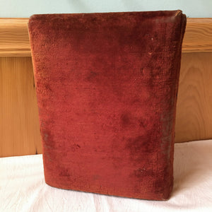 Victorian Velvet Photo Album with Cabinet Cards – Baby, Twin, Cat Photos & 1896 Obituary – Maine Provenance