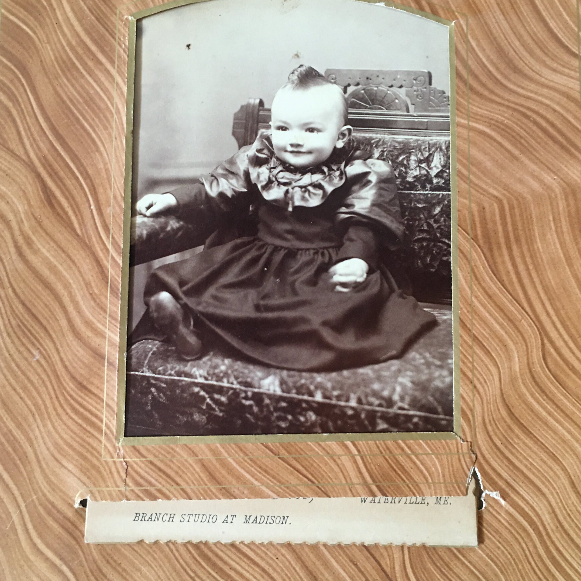 Victorian Velvet Photo Album with Cabinet Cards – Baby, Twin, Cat Photos & 1896 Obituary – Maine Provenance