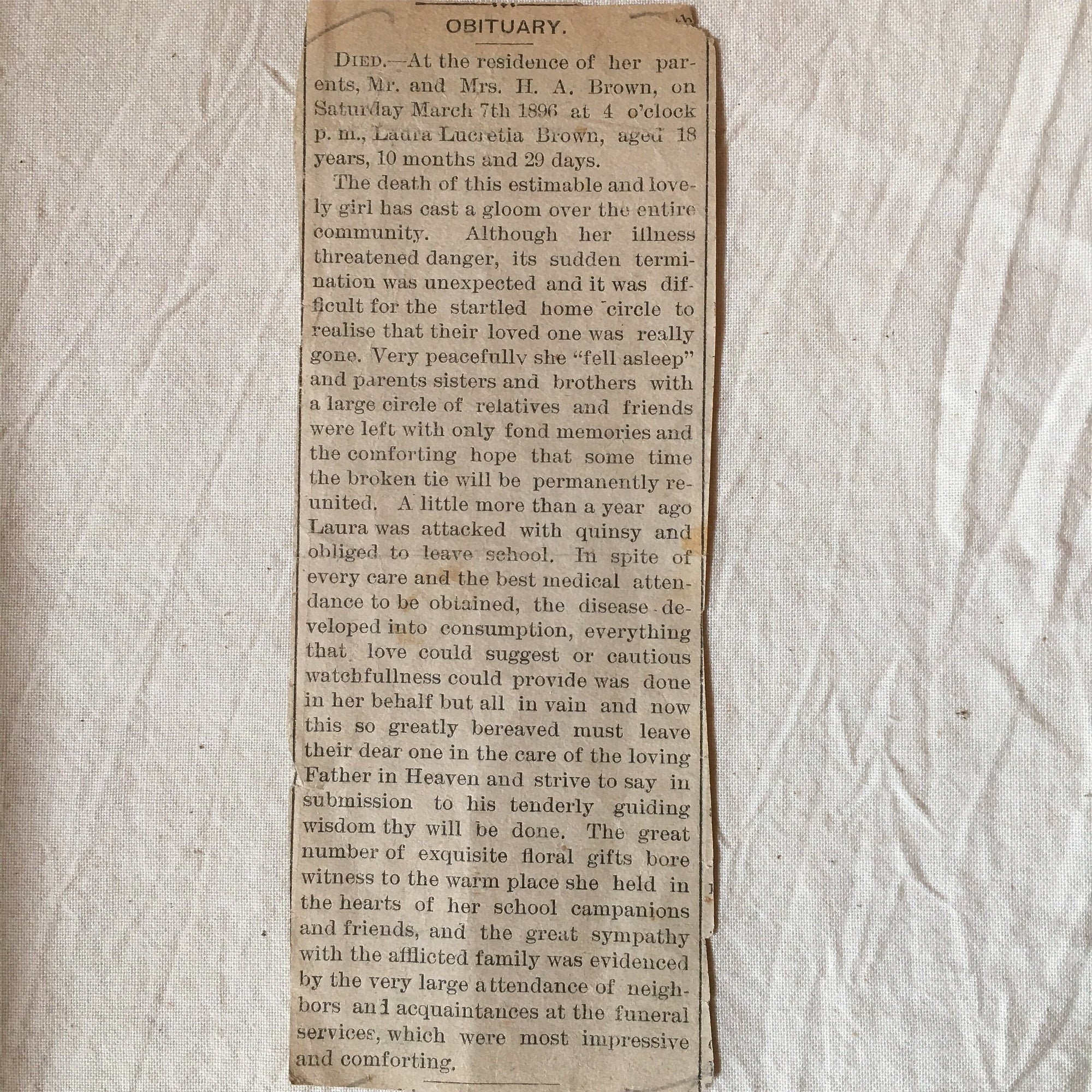 Victorian Velvet Photo Album with Cabinet Cards – Baby, Twin, Cat Photos & 1896 Obituary – Maine Provenance