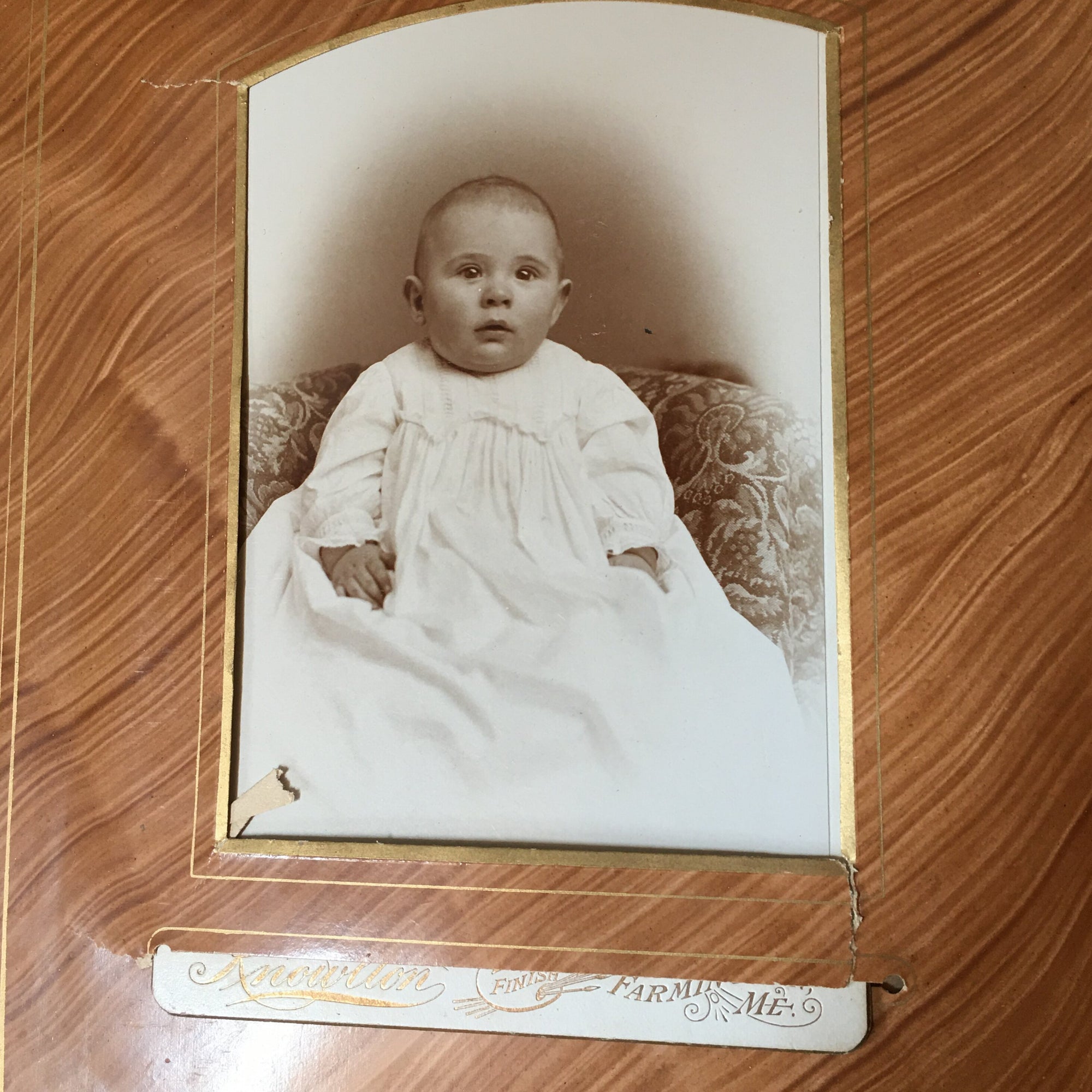 Victorian Velvet Photo Album with Cabinet Cards – Baby, Twin, Cat Photos & 1896 Obituary – Maine Provenance