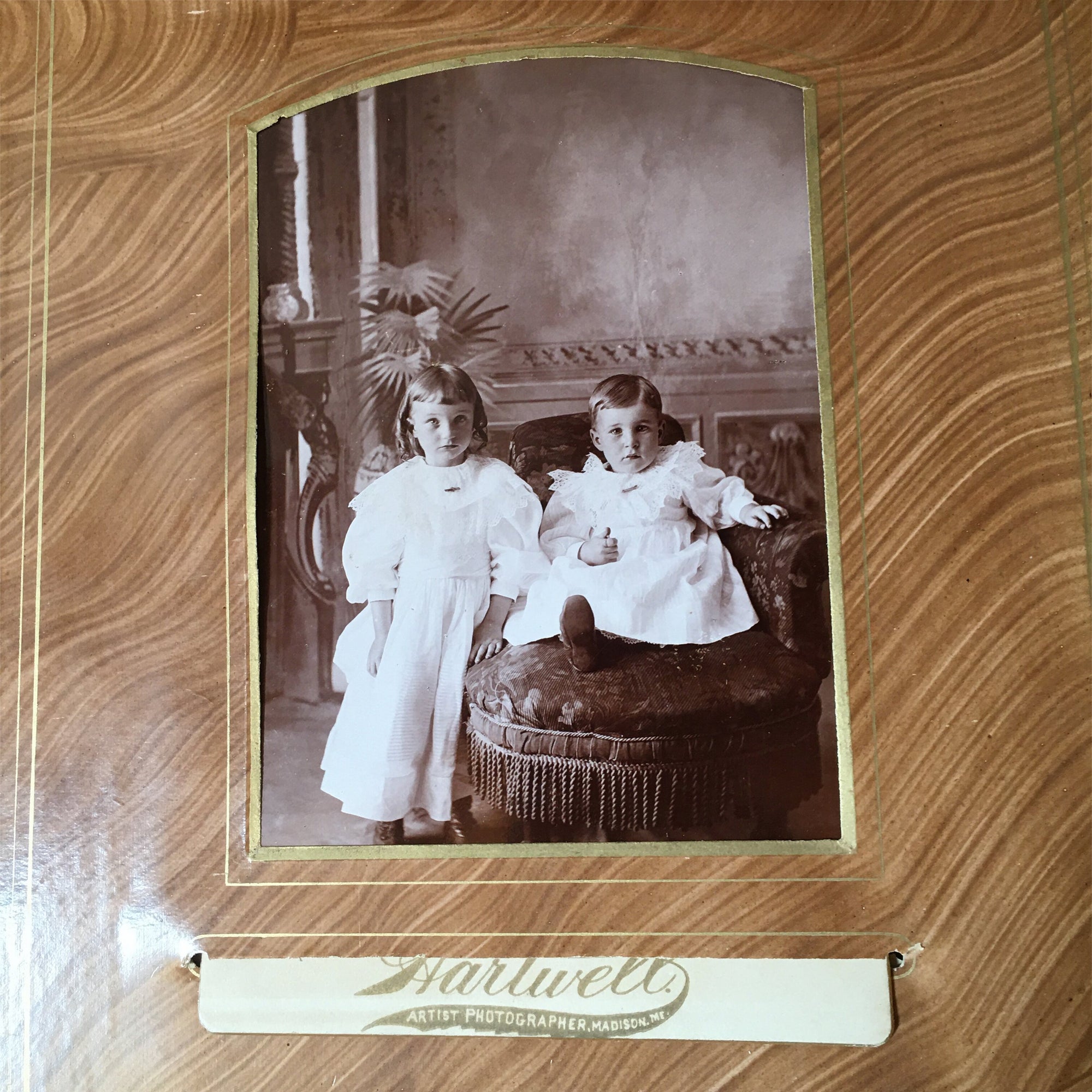 Victorian Velvet Photo Album with Cabinet Cards – Baby, Twin, Cat Photos & 1896 Obituary – Maine Provenance