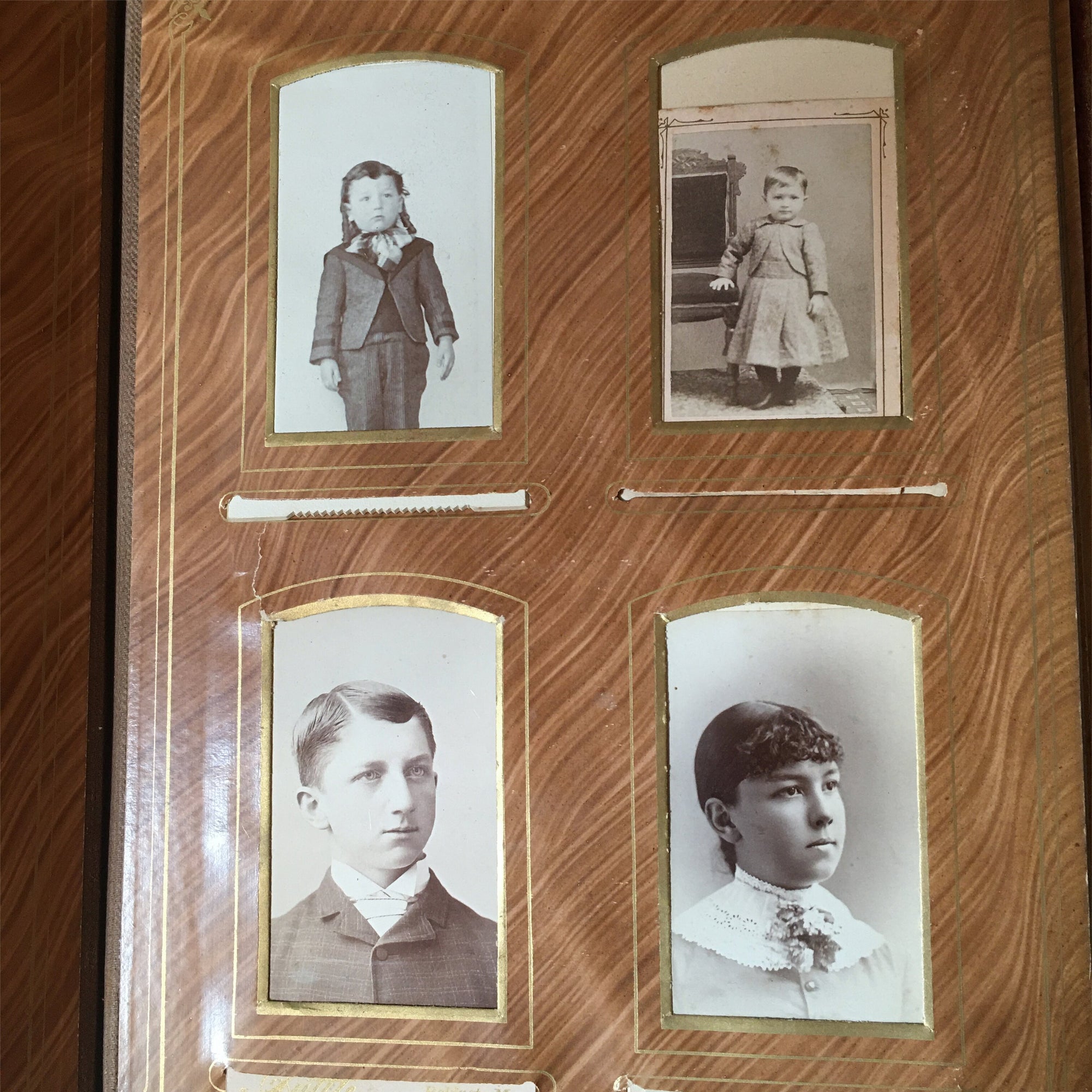 Victorian Velvet Photo Album with Cabinet Cards – Baby, Twin, Cat Photos & 1896 Obituary – Maine Provenance