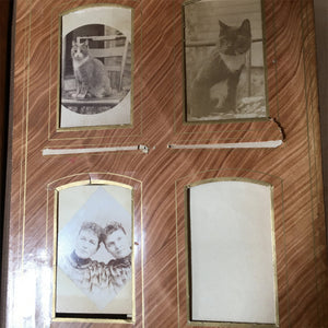 Victorian Velvet Photo Album with Cabinet Cards – Baby, Twin, Cat Photos & 1896 Obituary – Maine Provenance