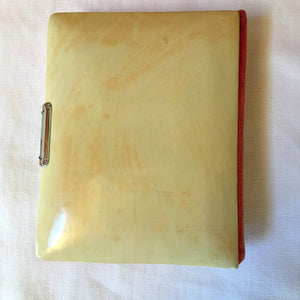Antique Celluloid Photo Album with Rose Design & Clasp – 21 Photos, c.1890s