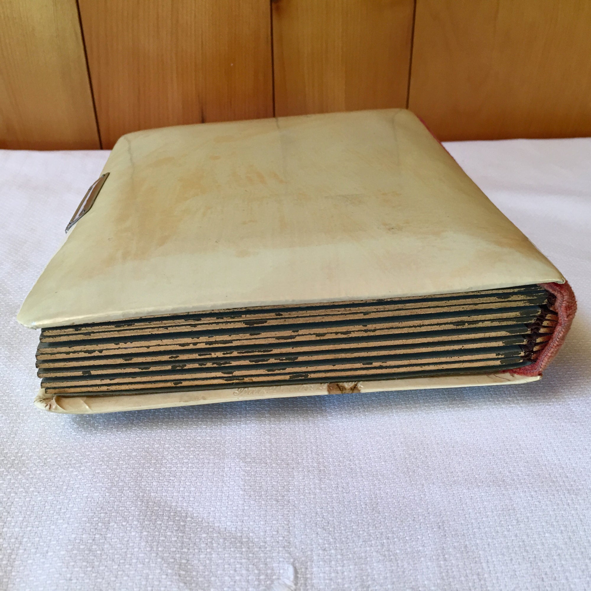 Antique Celluloid Photo Album with Rose Design & Clasp – 21 Photos, c.1890s