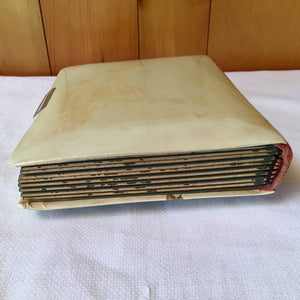 Antique Celluloid Photo Album with Rose Design & Clasp – 21 Photos, c.1890s