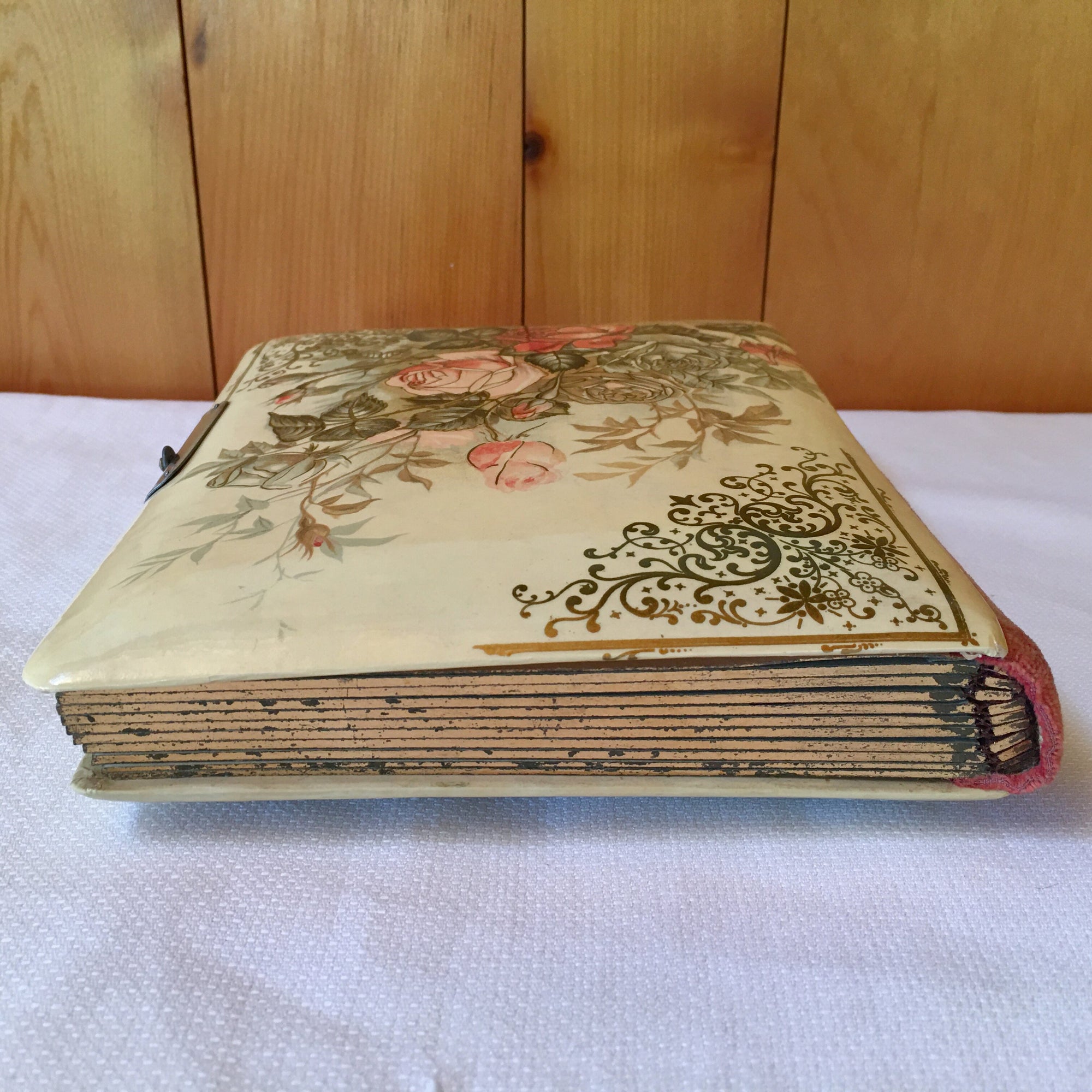 Antique Celluloid Photo Album with Rose Design & Clasp – 21 Photos, c.1890s