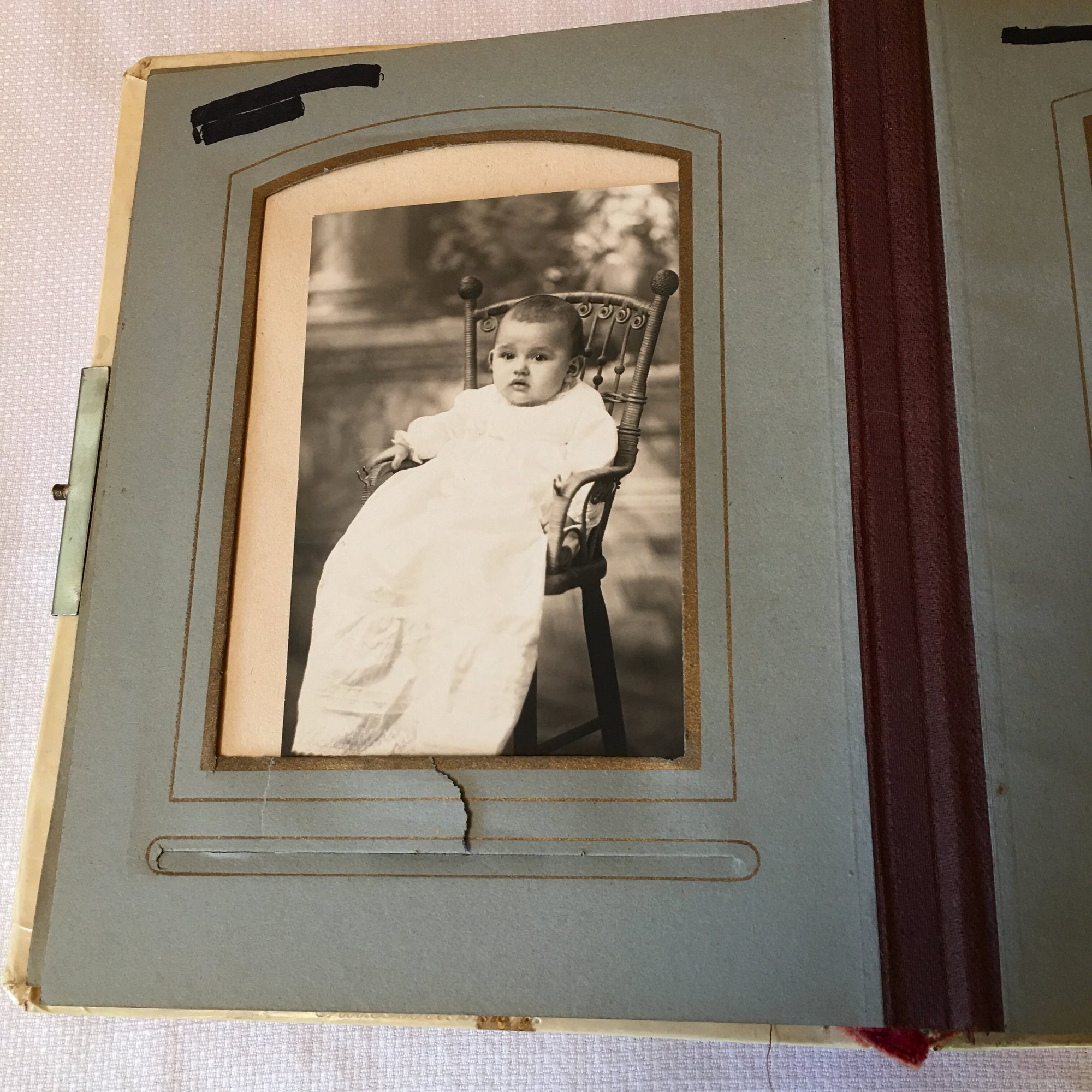 Antique Celluloid Photo Album with Rose Design & Clasp – 21 Photos, c.1890s