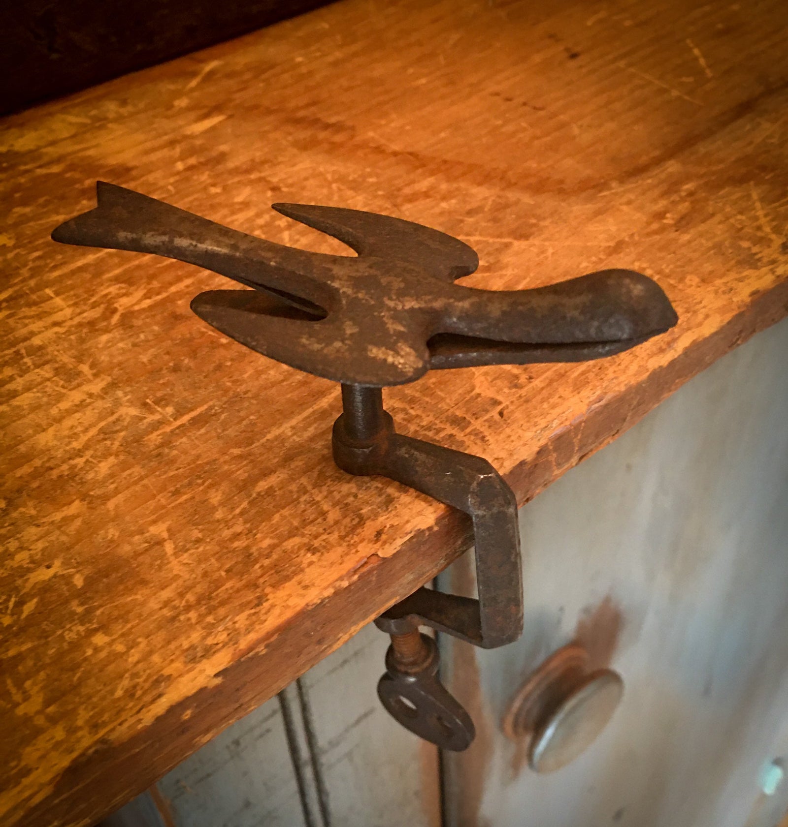 Very Early Sewing Bird