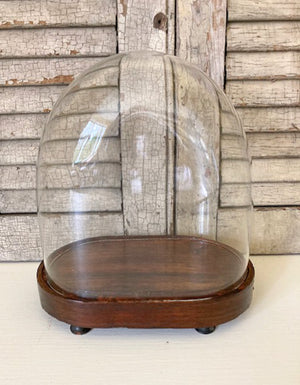 Vintage Glass Dome with Fruitwood Base