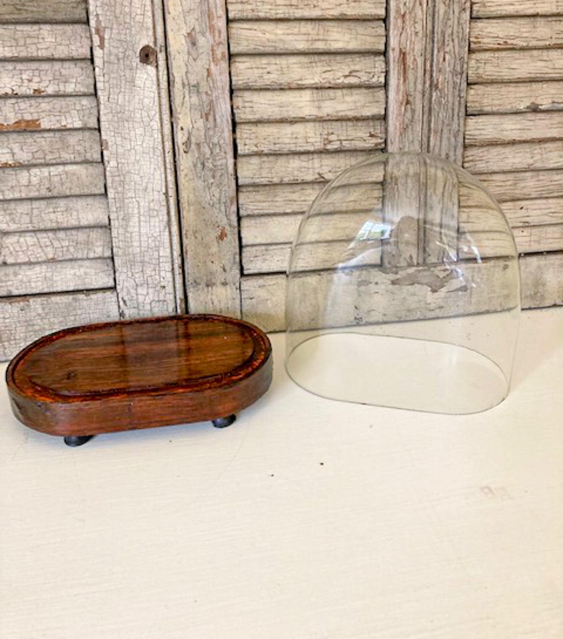 Vintage Glass Dome with Fruitwood Base