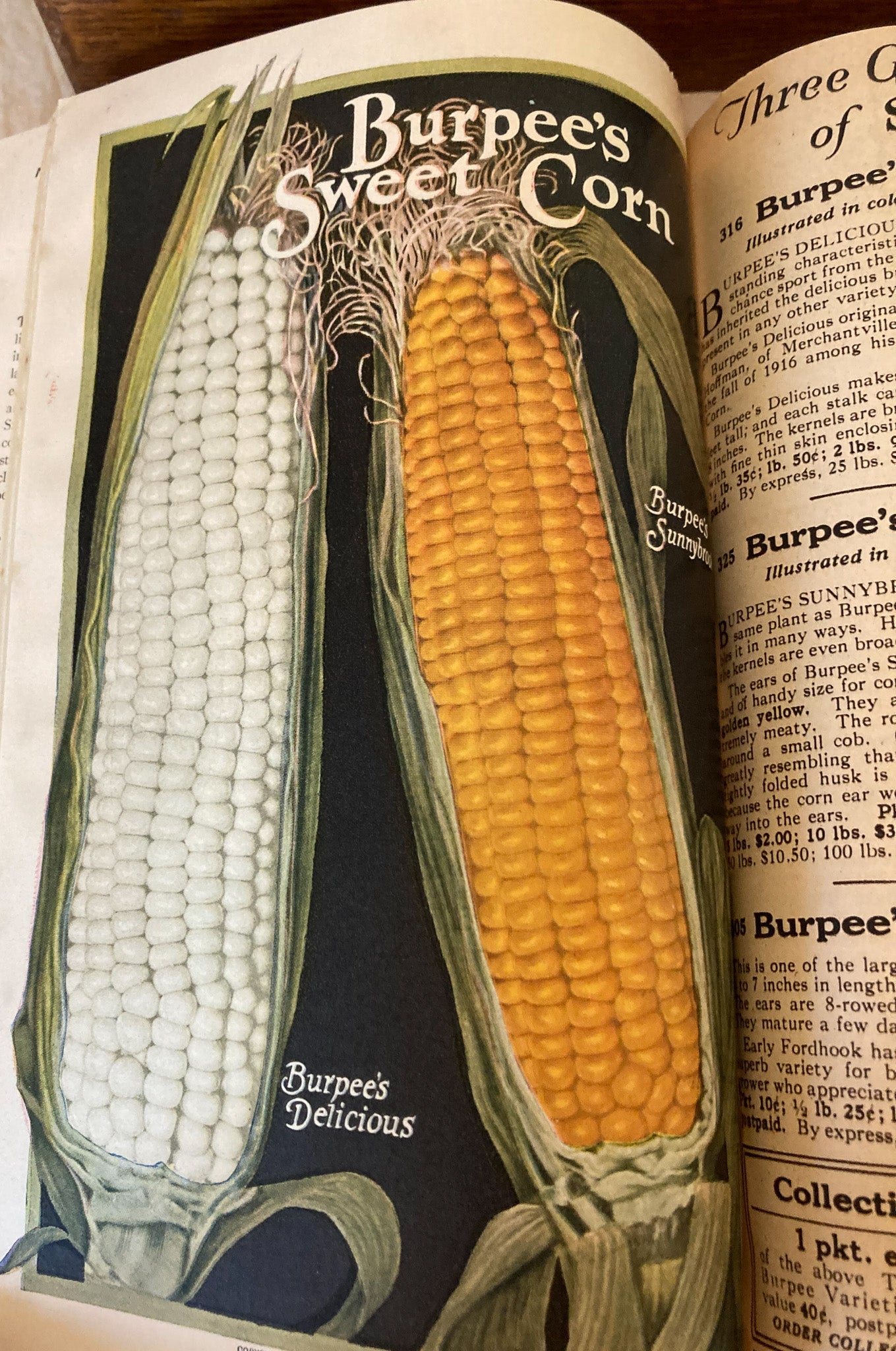 Early 1900’s Flower Seed Box, 1914 Choice Flower Seeds Catalog and 192